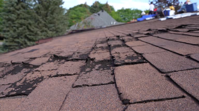 4 Ply Roofing in Mcchord Af, WA